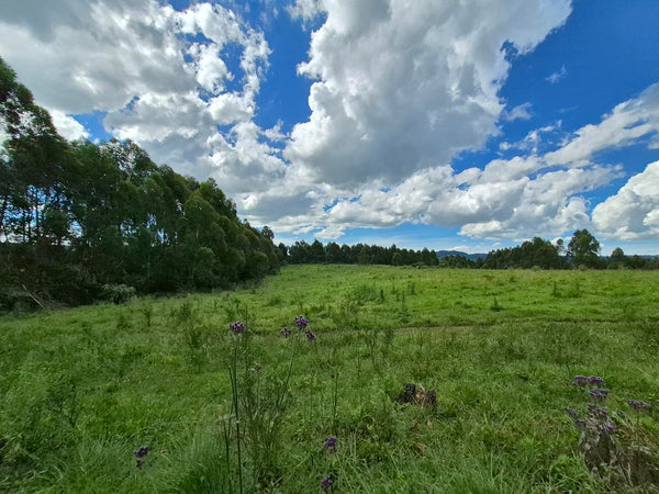 Property 3079860 - Image 51