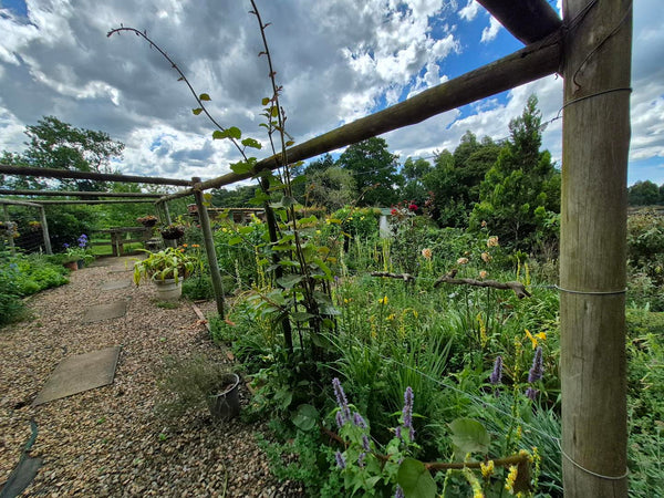 Property 3079860 - Image 59