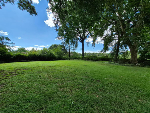 Property 3079860 - Image 6
