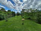 Property 3079860 - Image 60