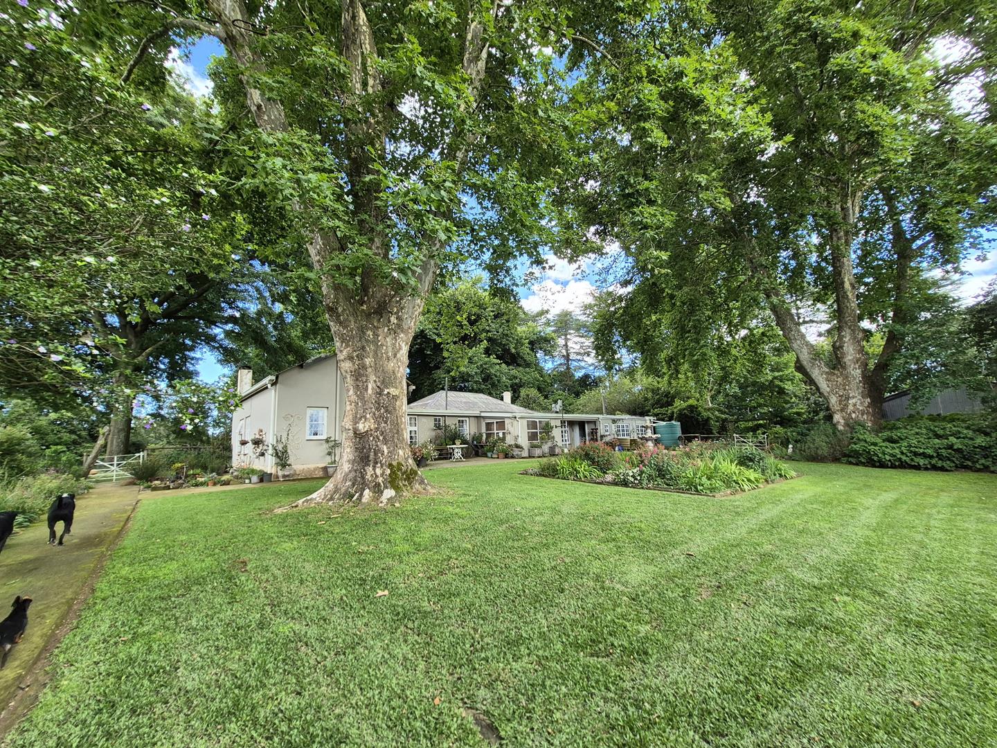 Property 3079860 - Image 62