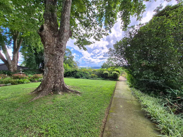 Property 3079860 - Image 66