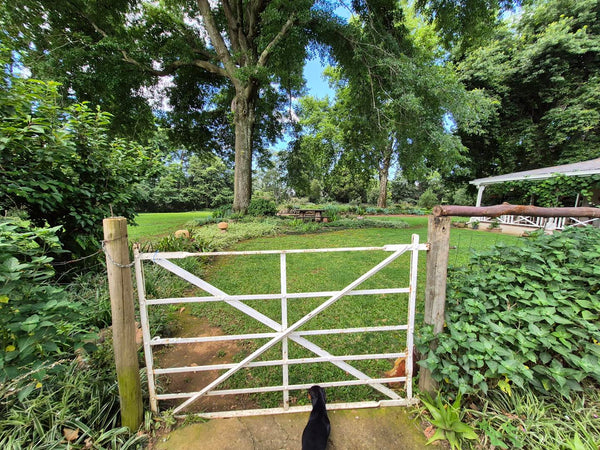 Property 3079860 - Image 67