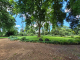 Property 3079860 - Image 7