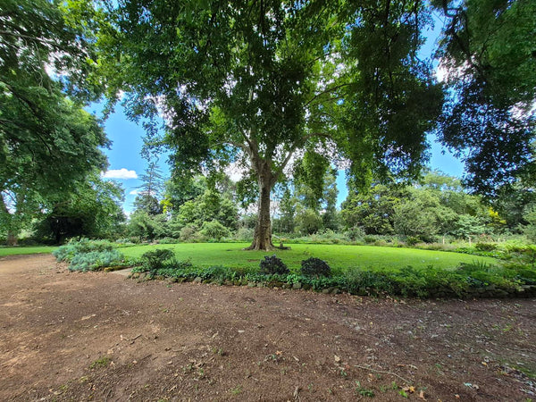 Property 3079860 - Image 7