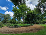 Property 3079860 - Image 8