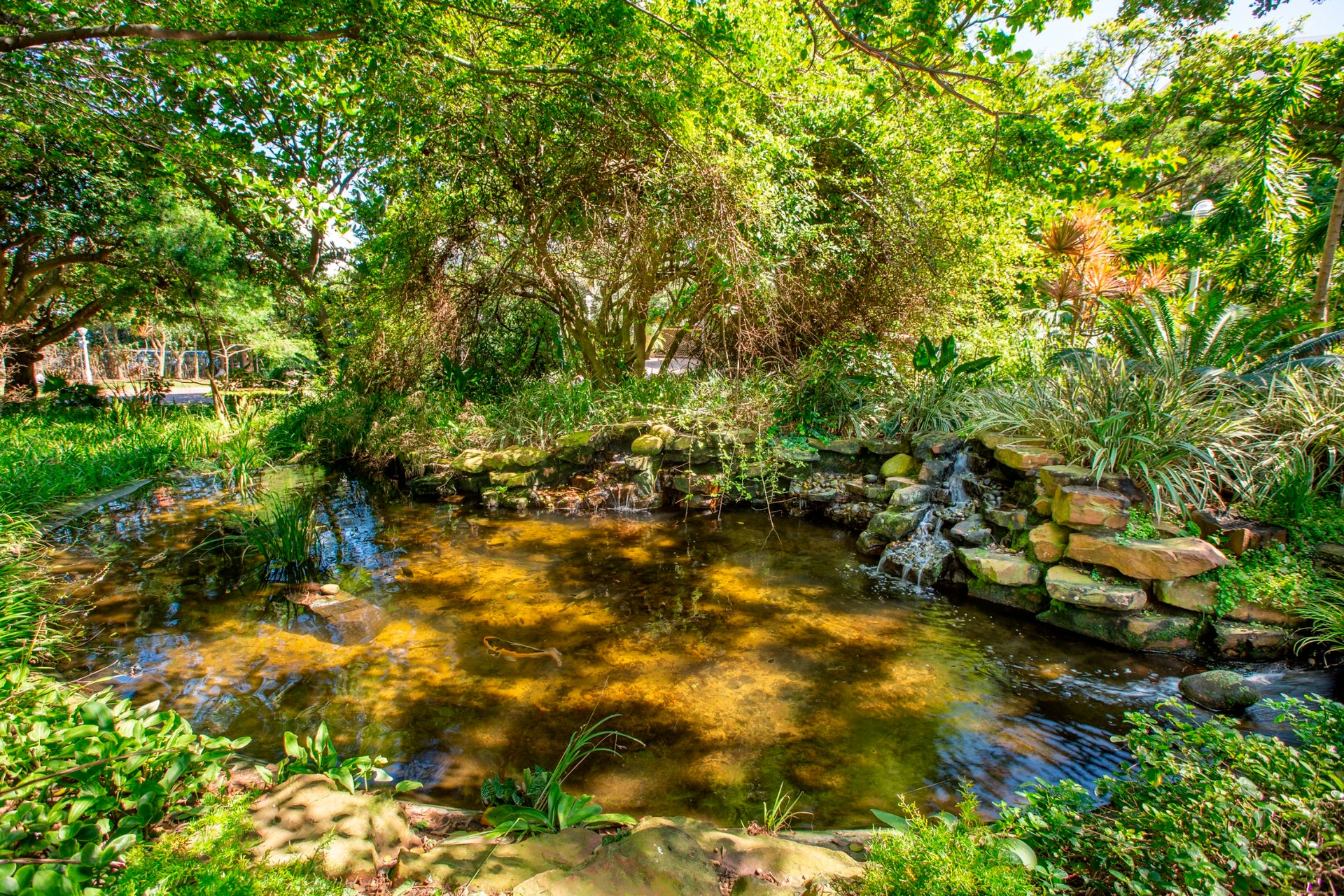 Property 3080182 - Image 14