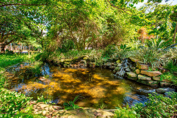 Property 3080182 - Image 14