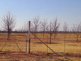 Property 308751 - Image 14