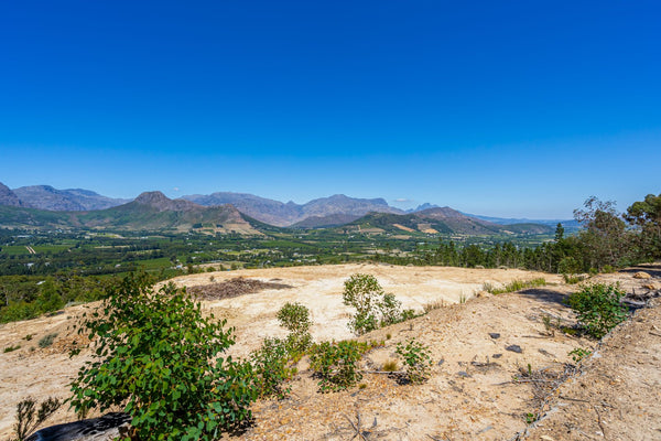 Property 3093009 - Image 5