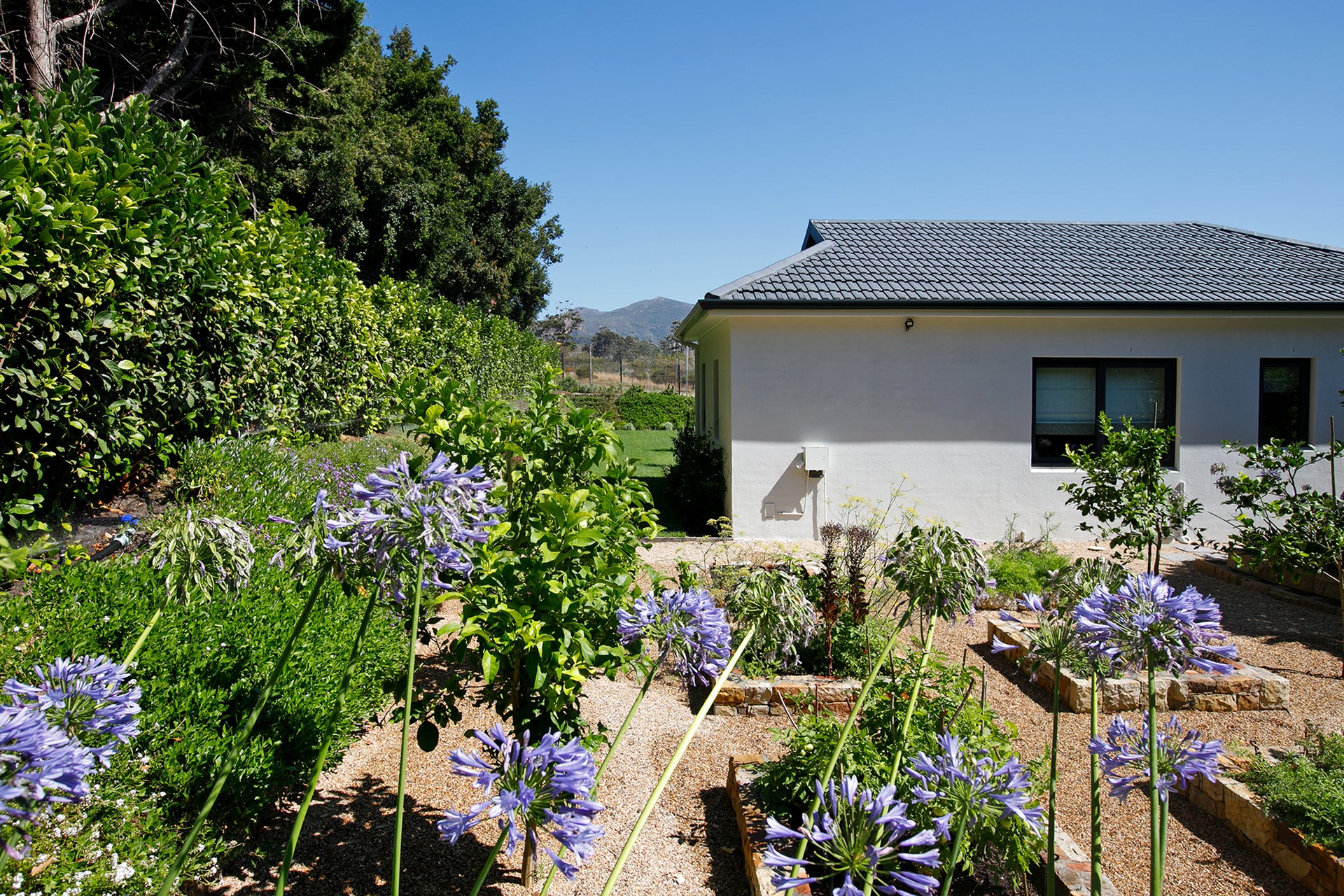 Property 3094724 - Image 26