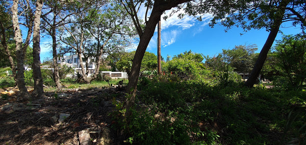 Property 3095322 - Image 46