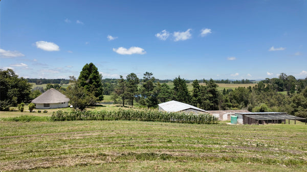 Property 3095434 - Image 8