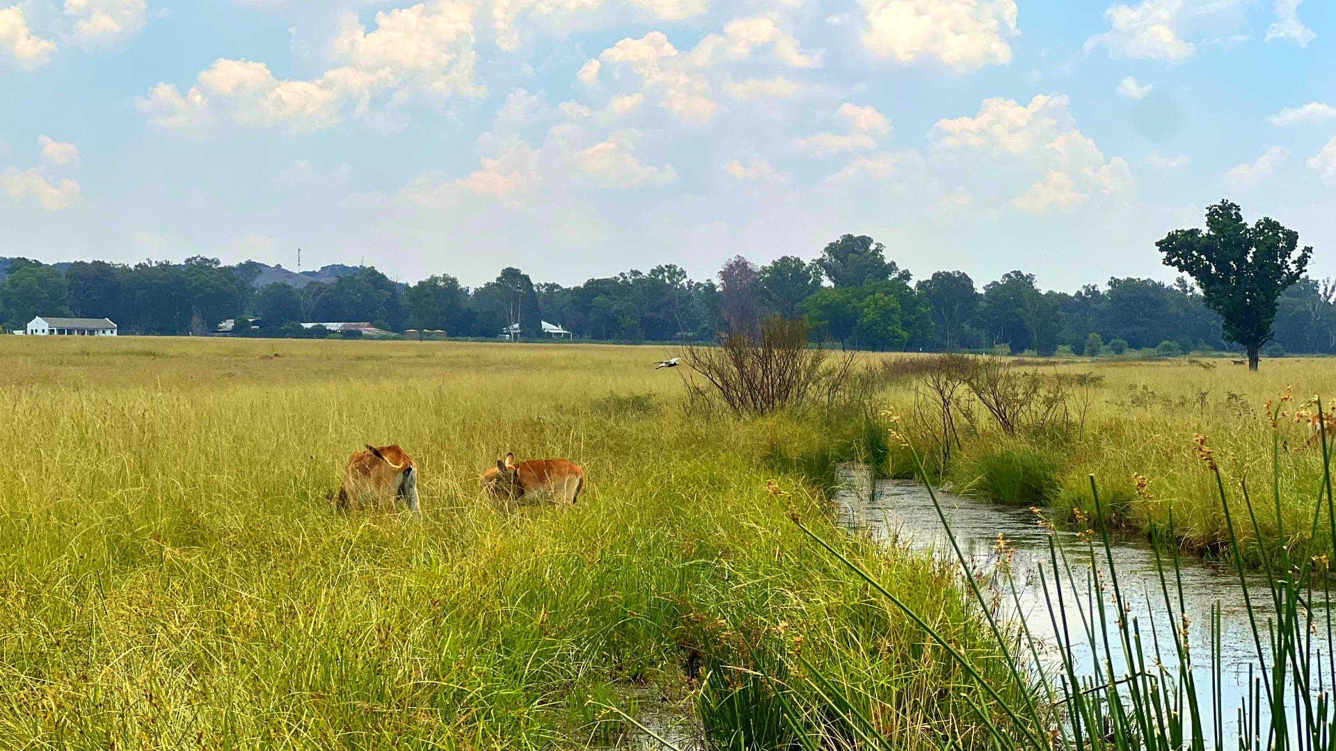 Property 3106061 - Image 10