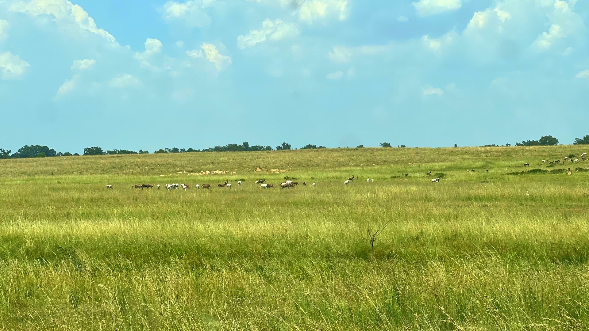 Property 3106061 - Image 11