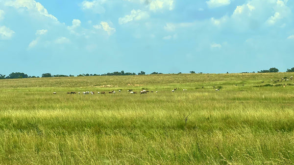 Property 3106061 - Image 11