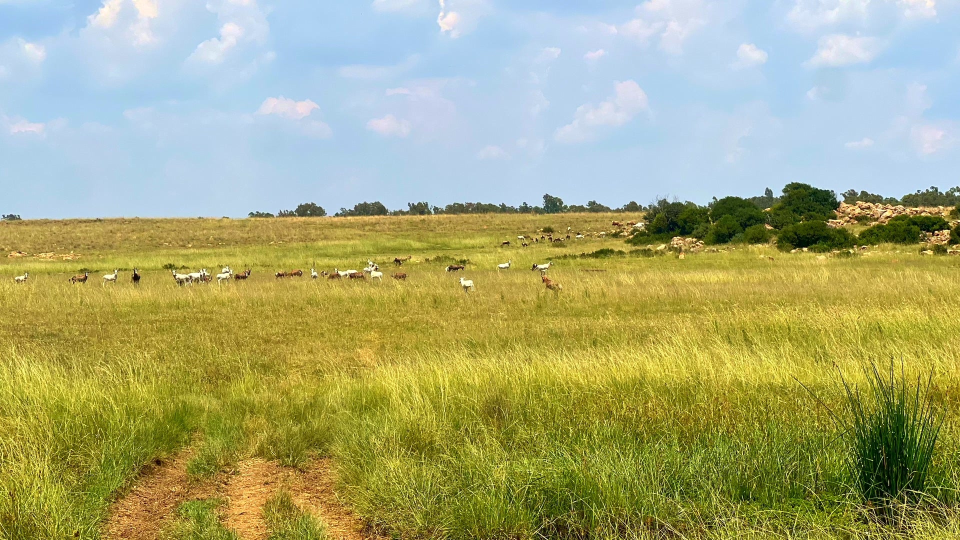 Property 3106061 - Image 12