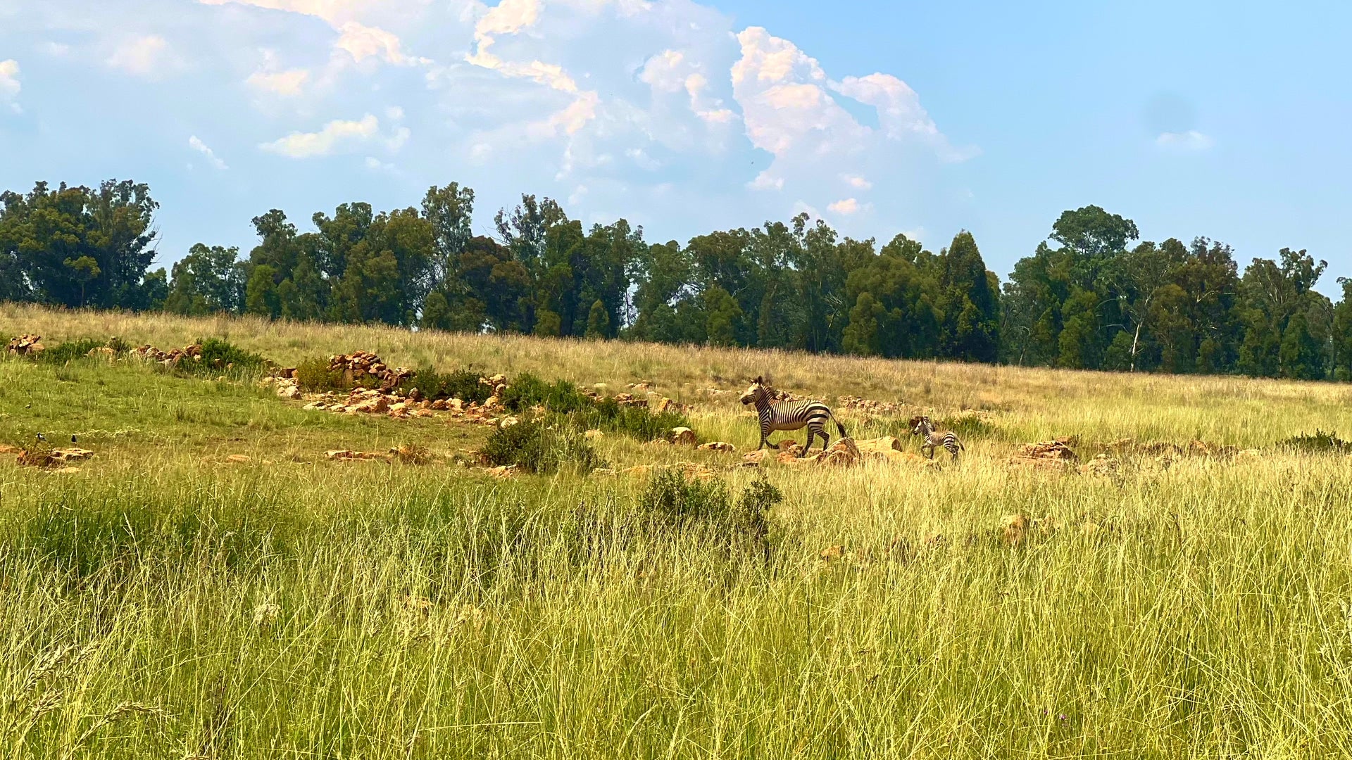 Property 3106061 - Image 13