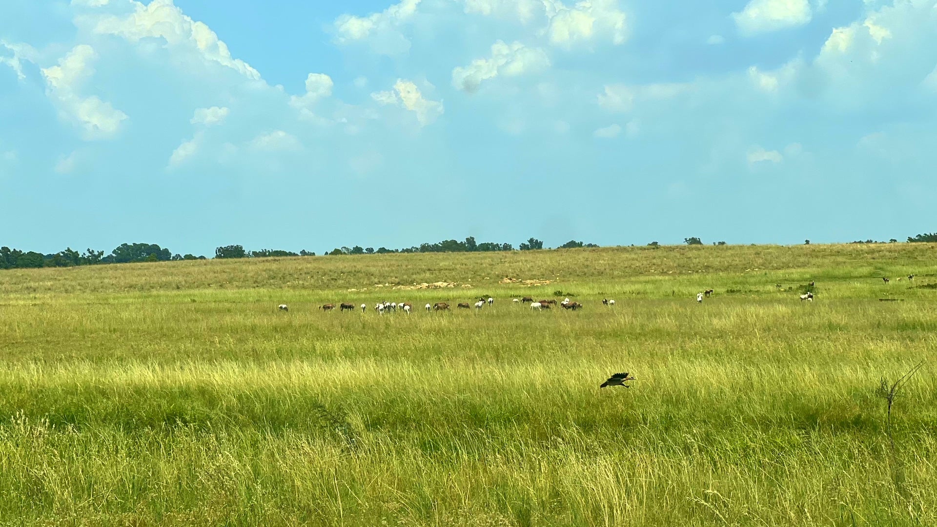 Property 3106061 - Image 15