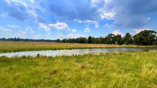 Property 3106061 - Image 17