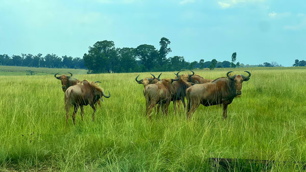 Property 3106061 - Image 2