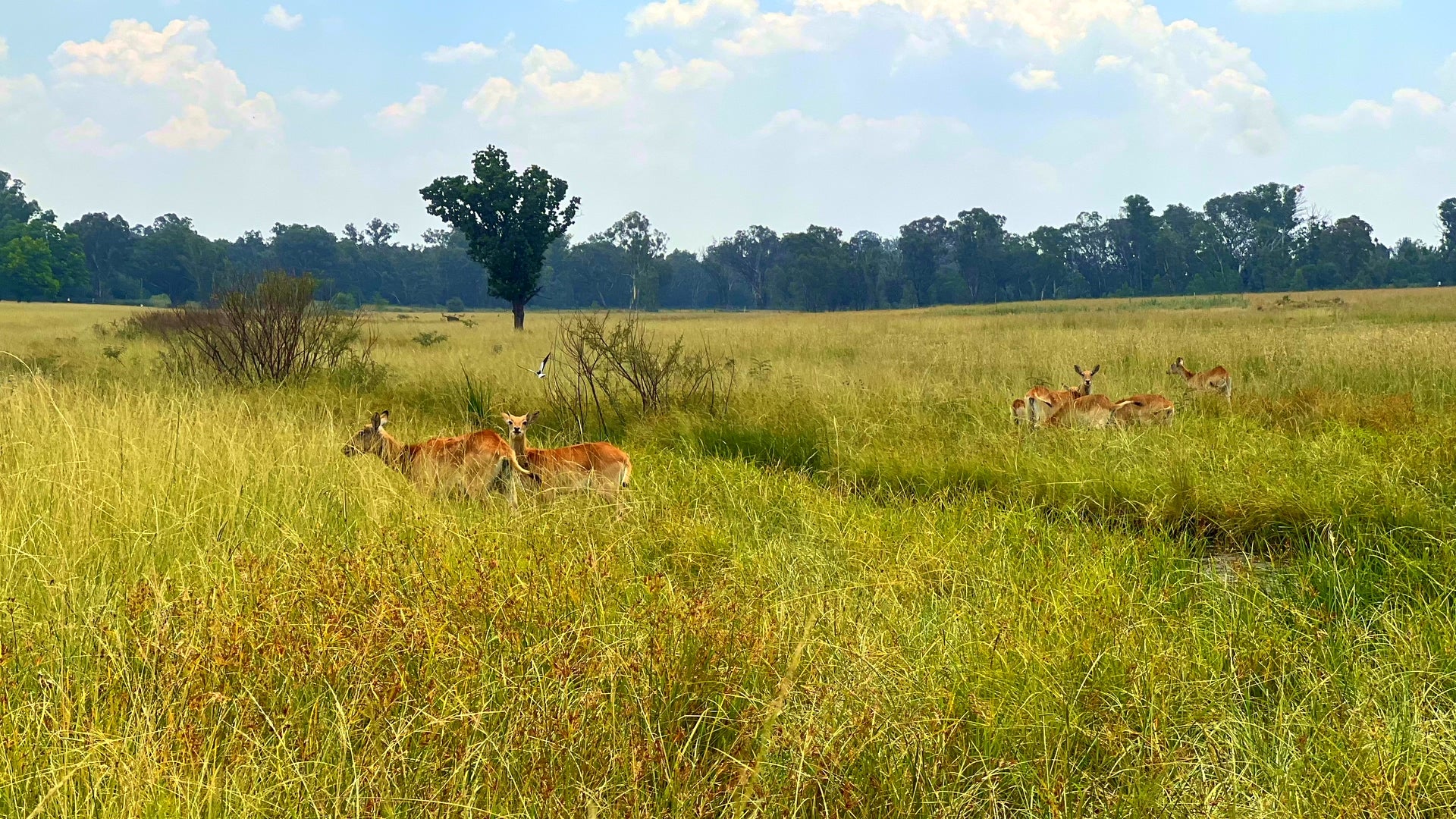 Property 3106061 - Image 3