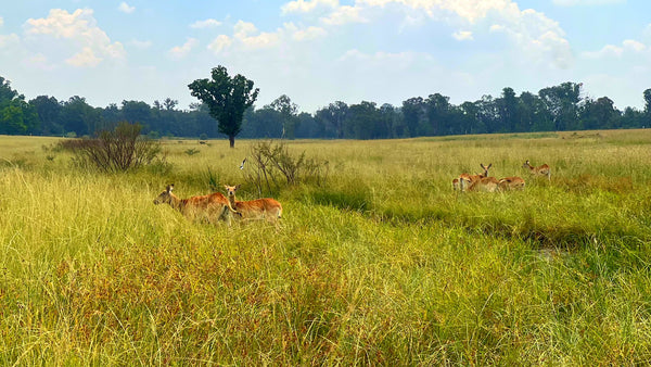 Property 3106061 - Image 3