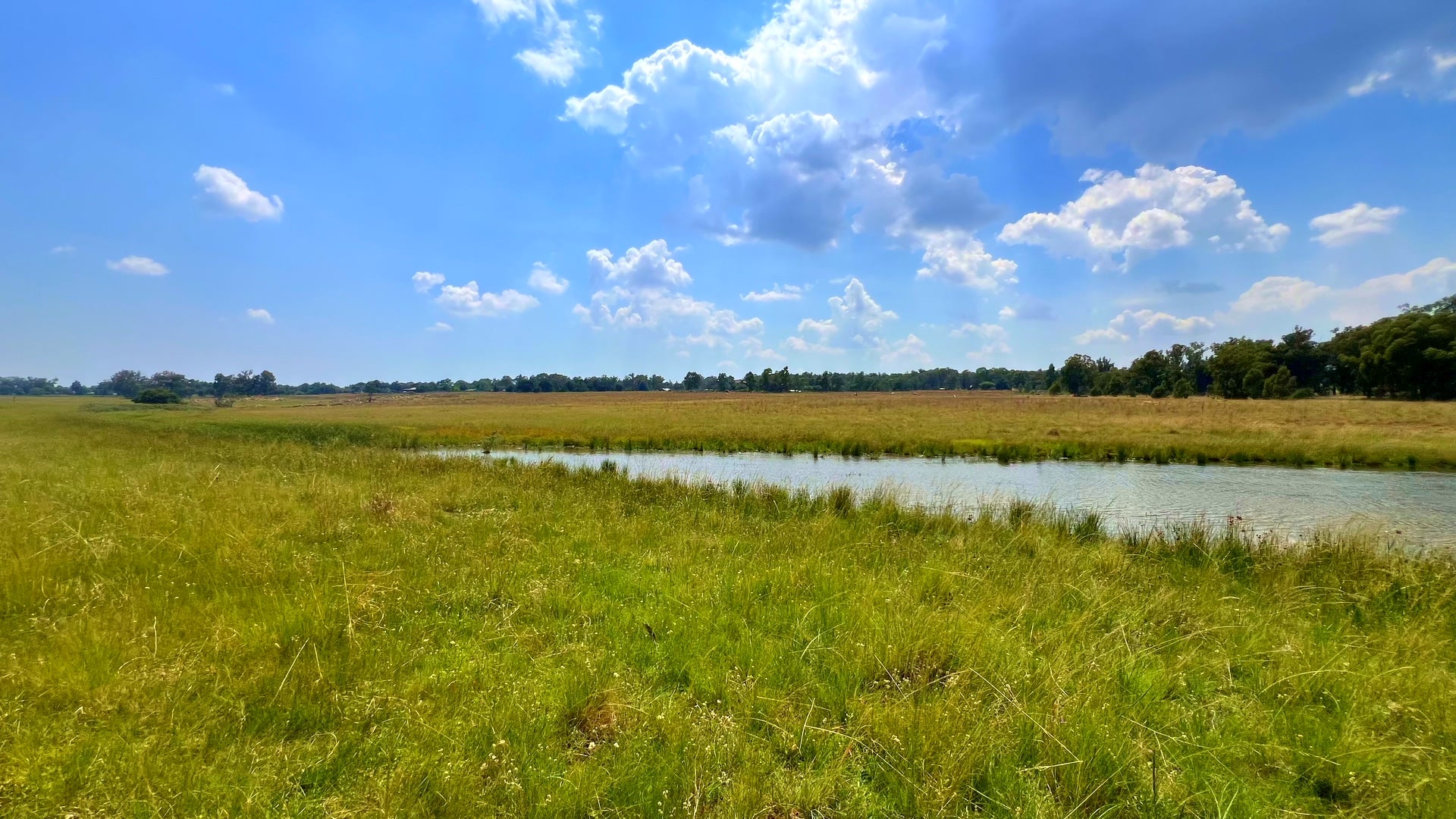 Property 3106061 - Image 39