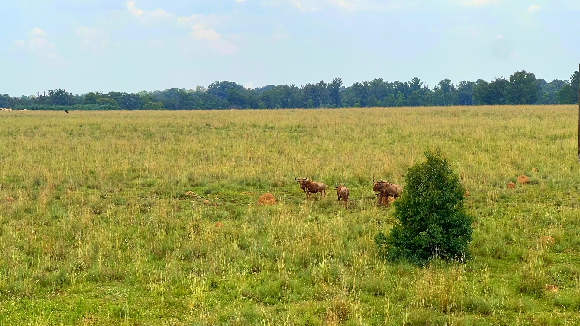 Property 3106061 - Image 41