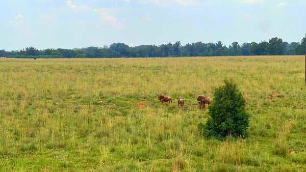 Property 3106061 - Image 41