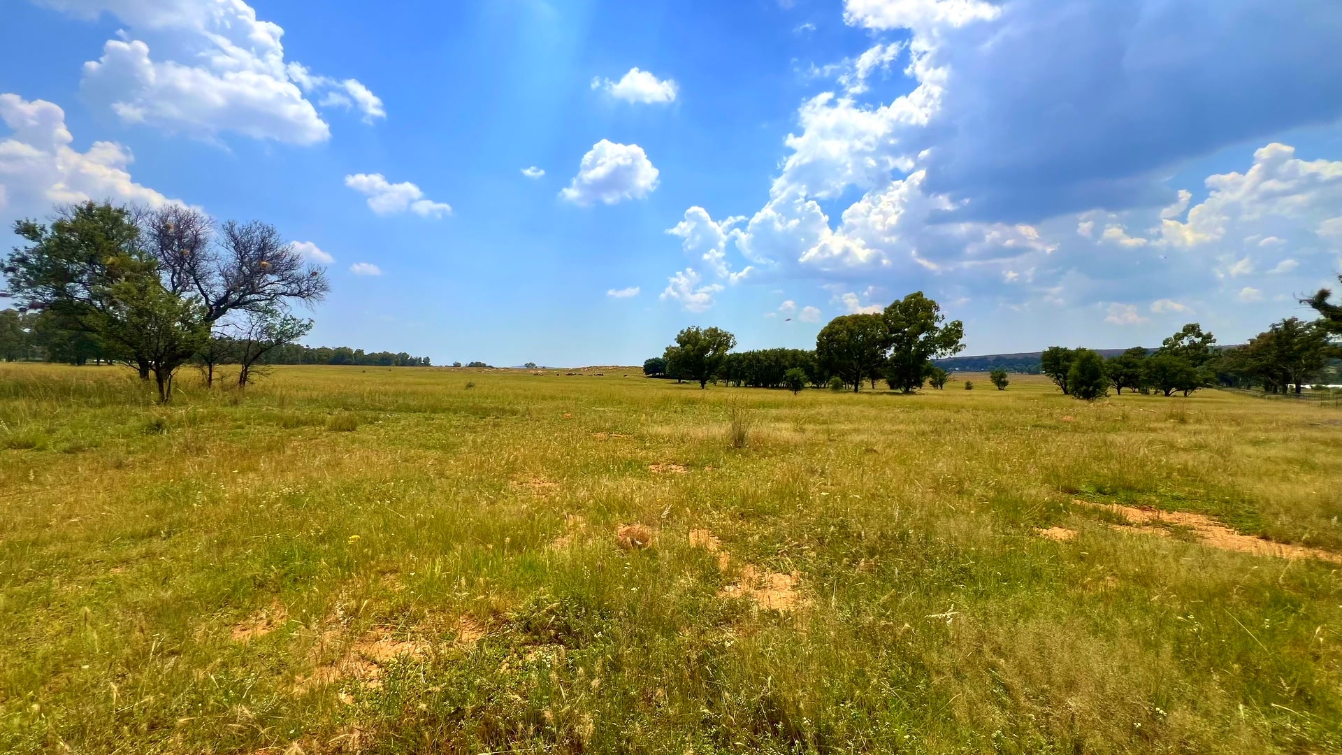 Property 3106061 - Image 42