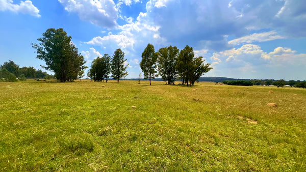 Property 3106061 - Image 43