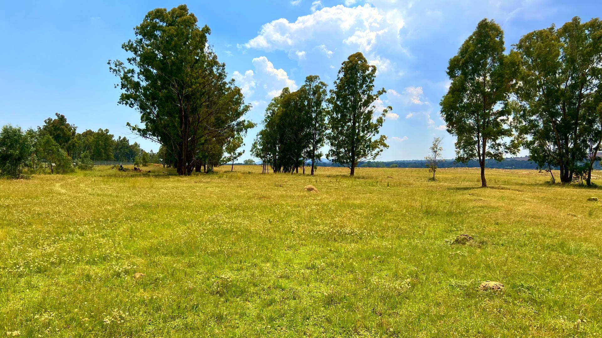 Property 3106061 - Image 44