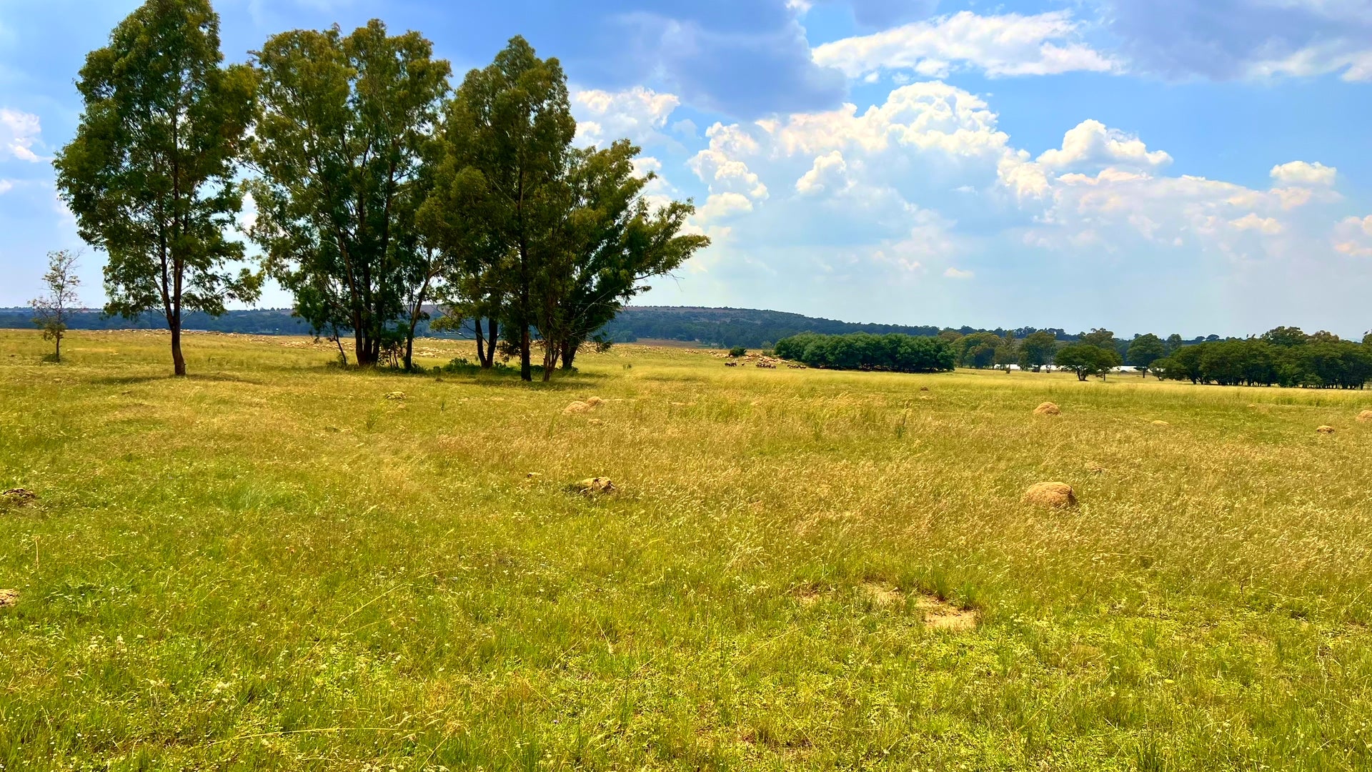 Property 3106061 - Image 45