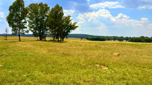 Property 3106061 - Image 45