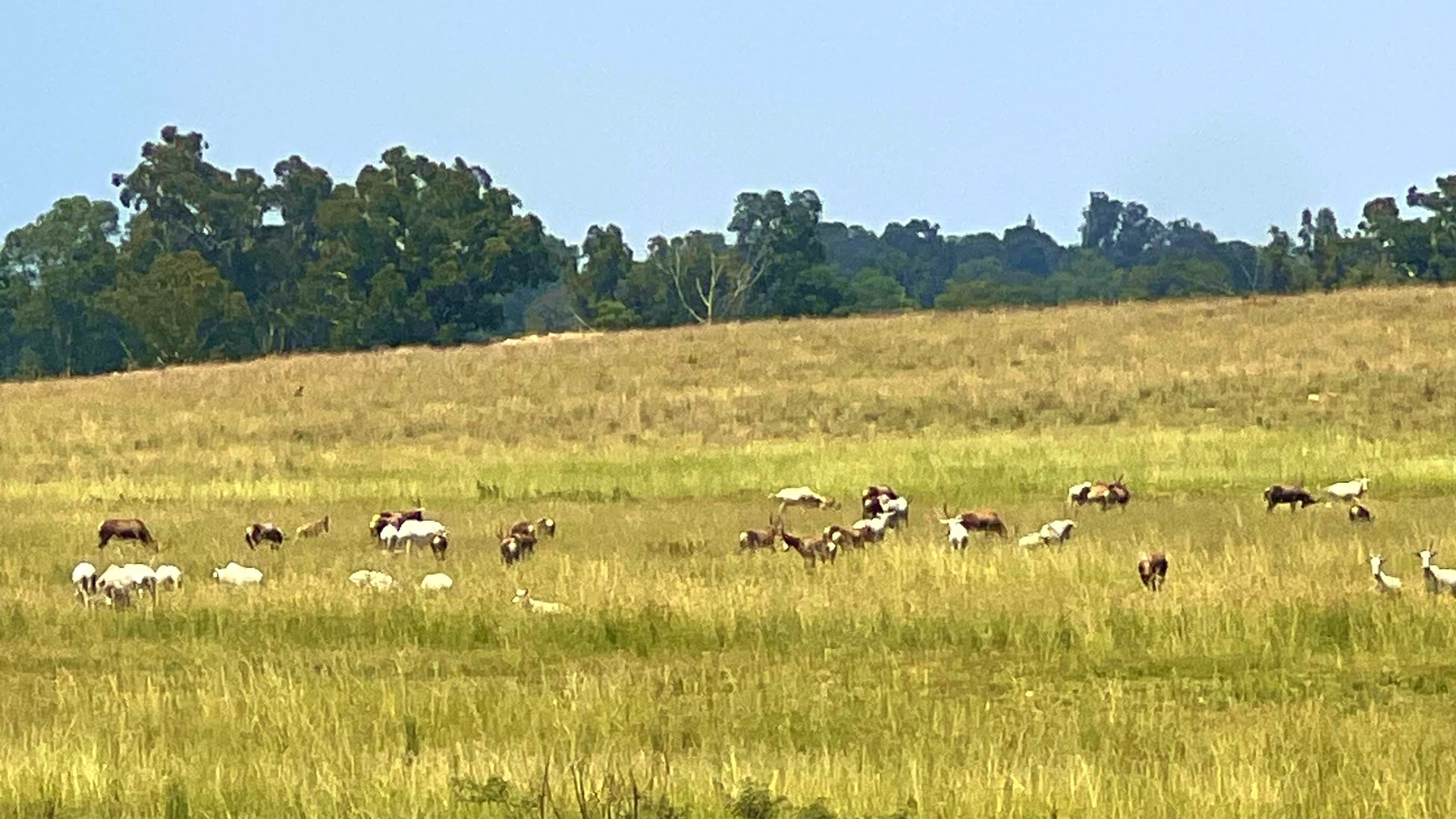 Property 3106061 - Image 5