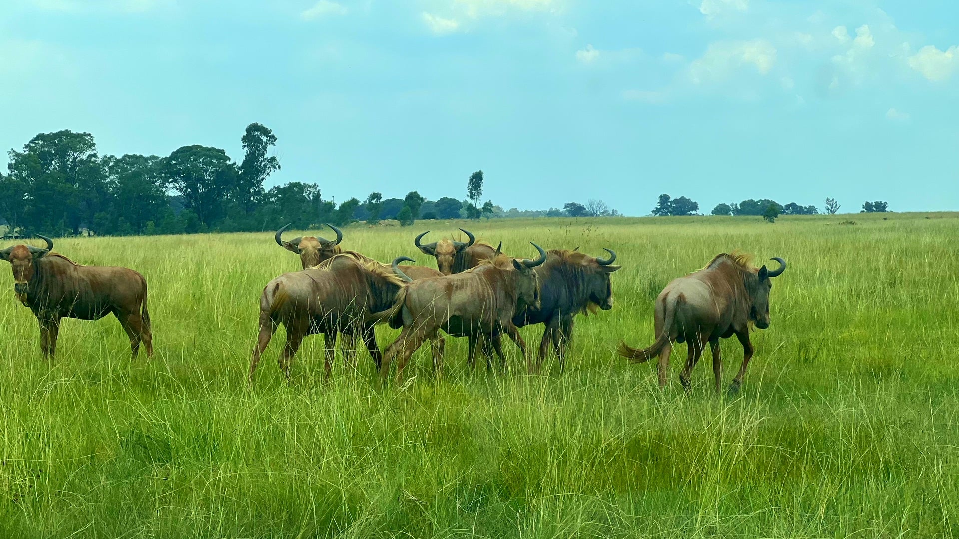 Property 3106061 - Image 56