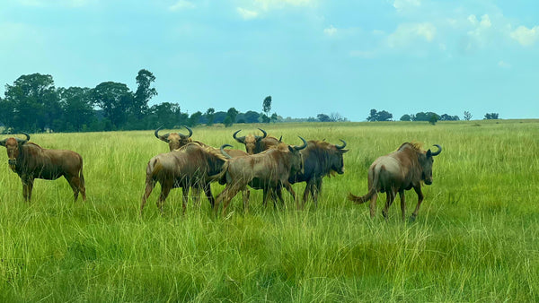 Property 3106061 - Image 56