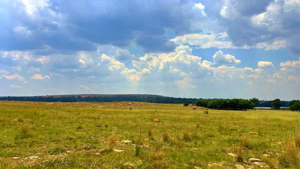 Property 3106061 - Image 61