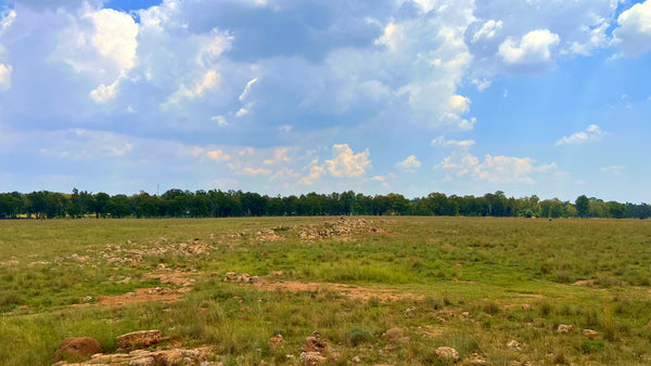 Property 3106061 - Image 62