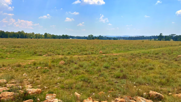 Property 3106061 - Image 63