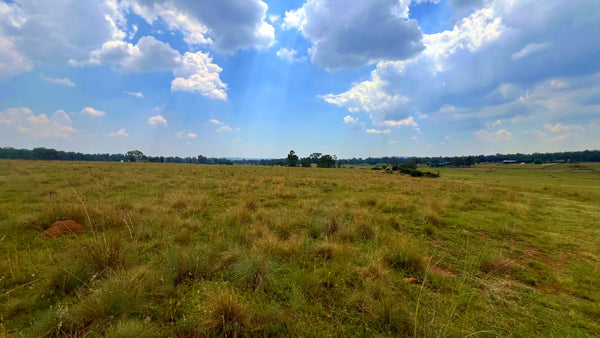 Property 3106061 - Image 65