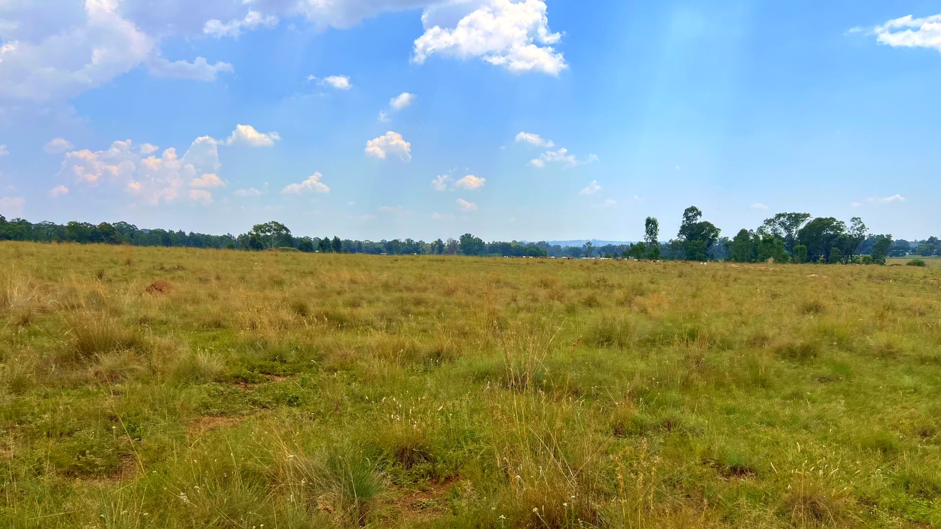 Property 3106061 - Image 67