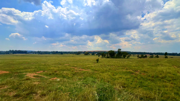 Property 3106061 - Image 68