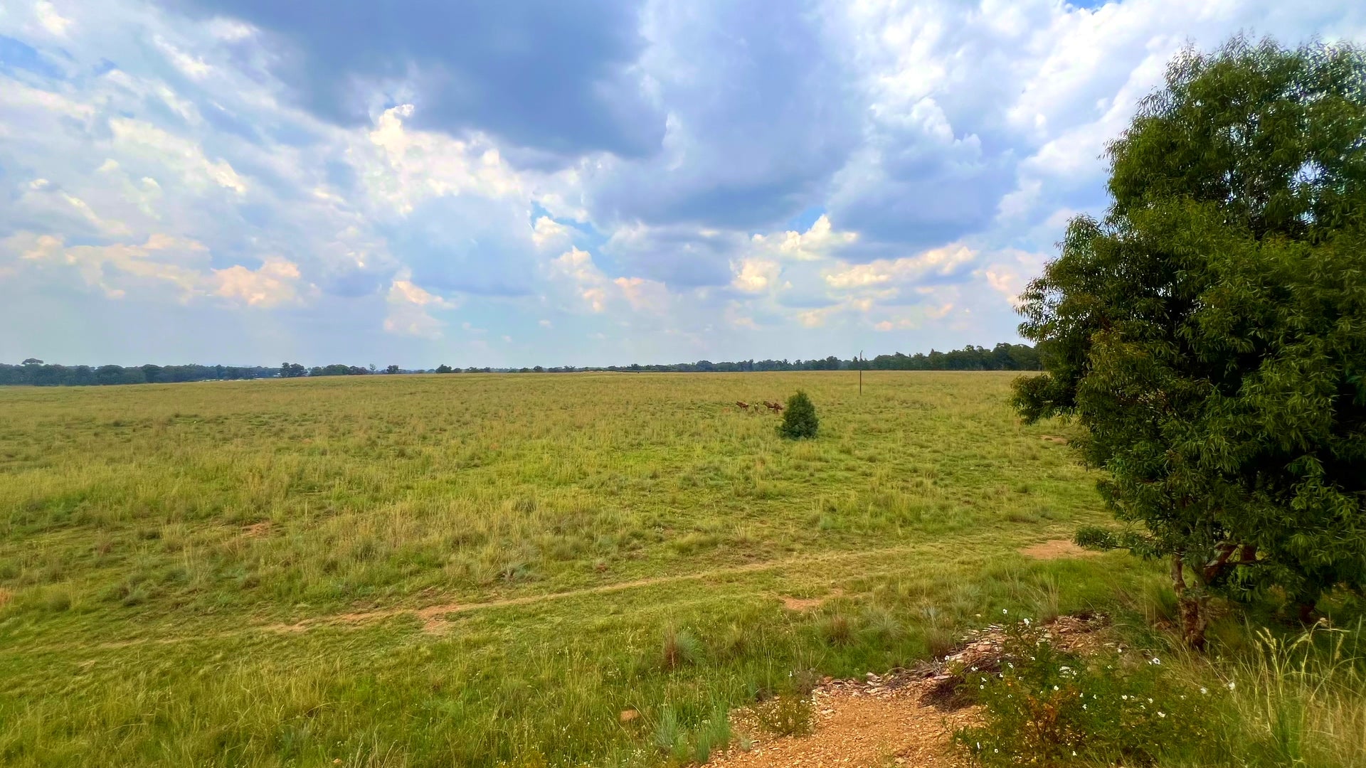 Property 3106061 - Image 69