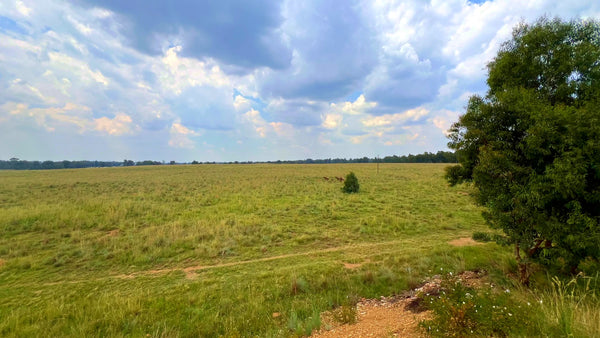 Property 3106061 - Image 69