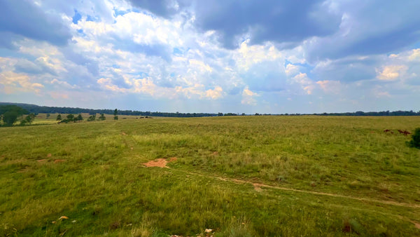 Property 3106061 - Image 70