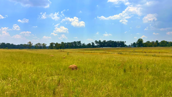 Property 3106061 - Image 71