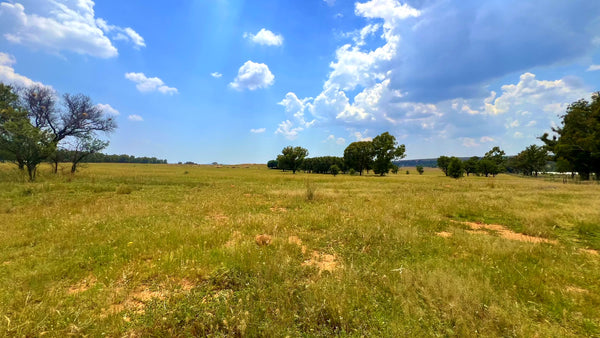 Property 3106061 - Image 72