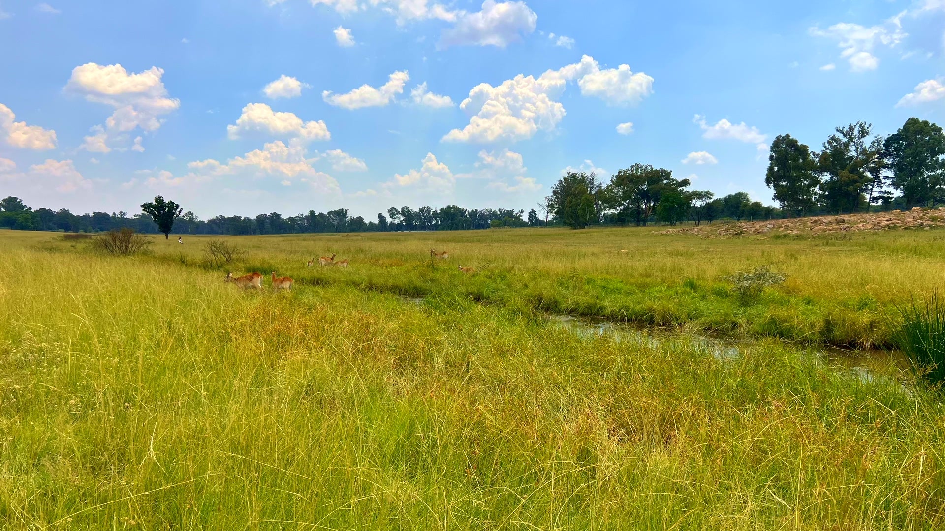 Property 3106061 - Image 74